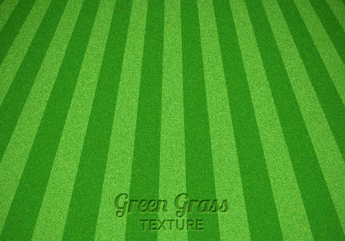 Mowed Green Grass Vector Texture 60348 Vector Art at Vecteezy