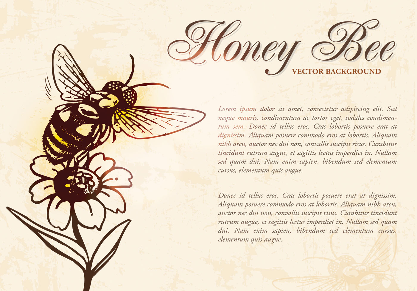 Download Honey Bee Background Vector - Download Free Vectors ...
