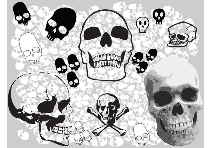 floral logo vector