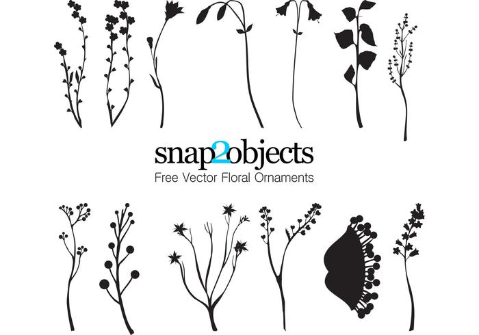 13 Free Vector Foliage Ornaments 13 Free Vector Foliage Ornaments