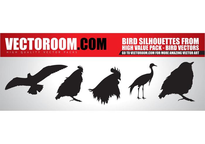 Vectoroom Free Vector #1 - Birds Vectoroom Free Vector #1 - Birds