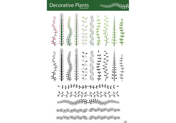 Decorative Plants Vector Decorative Plants Vector