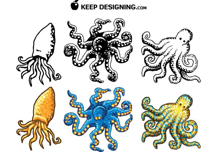 Octopus Design Vectors- Free Octopus Design Vectors- Free