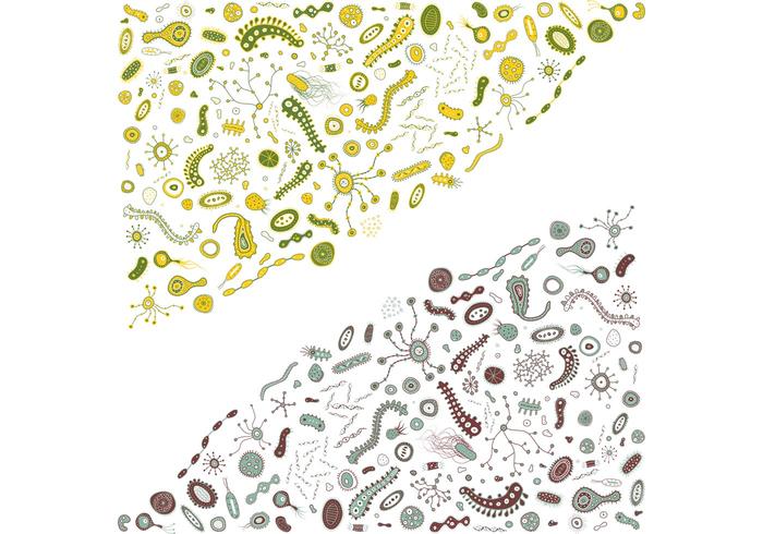 Bacteria Vector Bacteria Vector