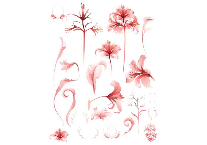 Flower Vector Flower Vector