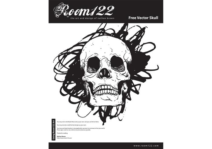 Hand Drawn Vector Skull Hand Drawn Vector Skull