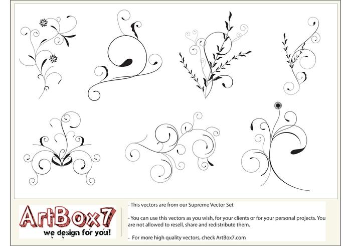 Foliages by Artbox7.com Foliages by Artbox7.com