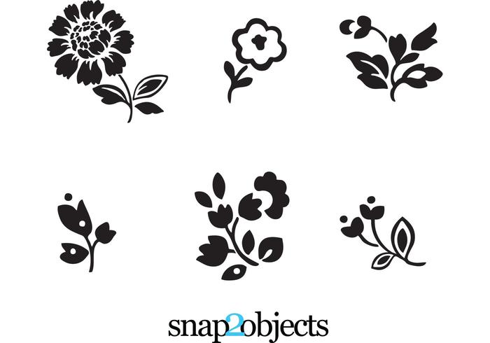 6 Floral Vector 6 Floral Vector
