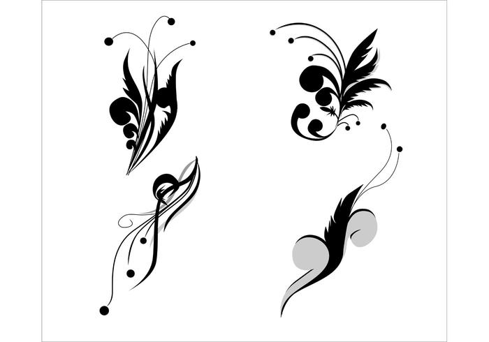 Floral Vectors Set Floral Vectors Set