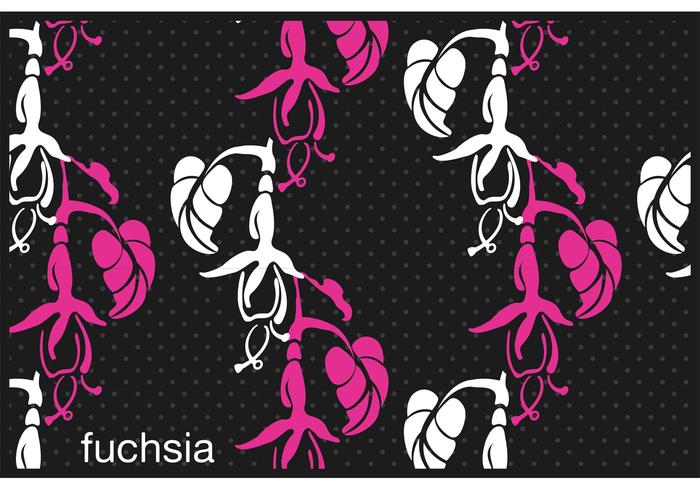 Fuchsia Patterns Fuchsia Patterns