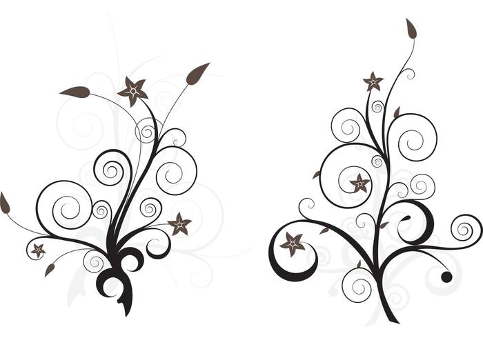 Floral Vector Art Floral Vector Art