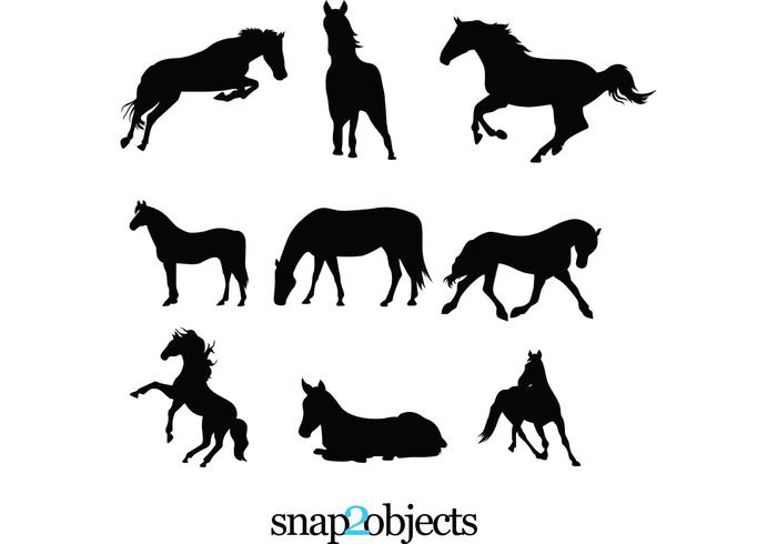9 Horses Vector Silhouettes 9 Horses Vector Silhouettes