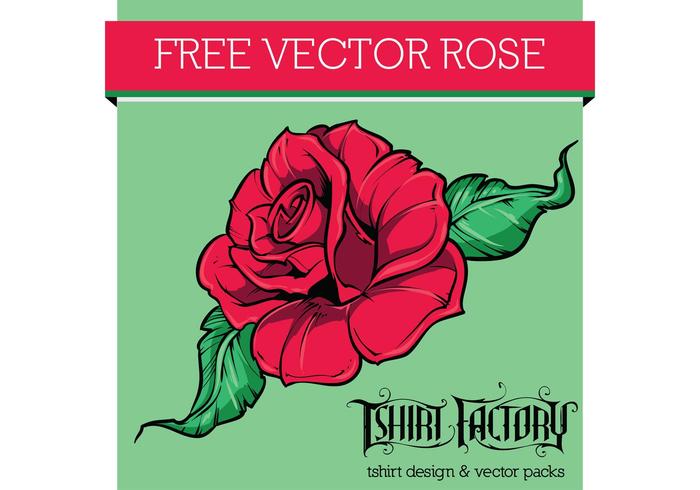 Free Vector Rose Free Vector Rose