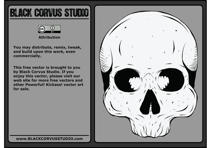 Human Skull Vector Human Skull Vector
