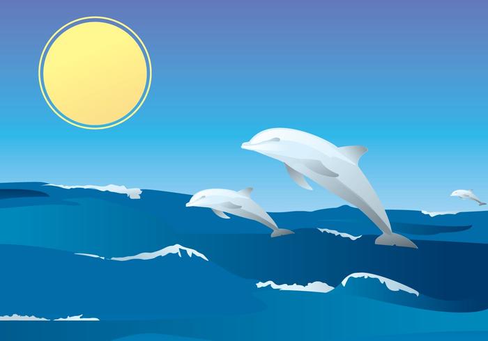 Vector Dolphins Vector Dolphins