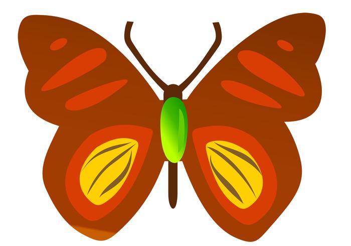 Free Vector Butterfly Free Vector Butterfly