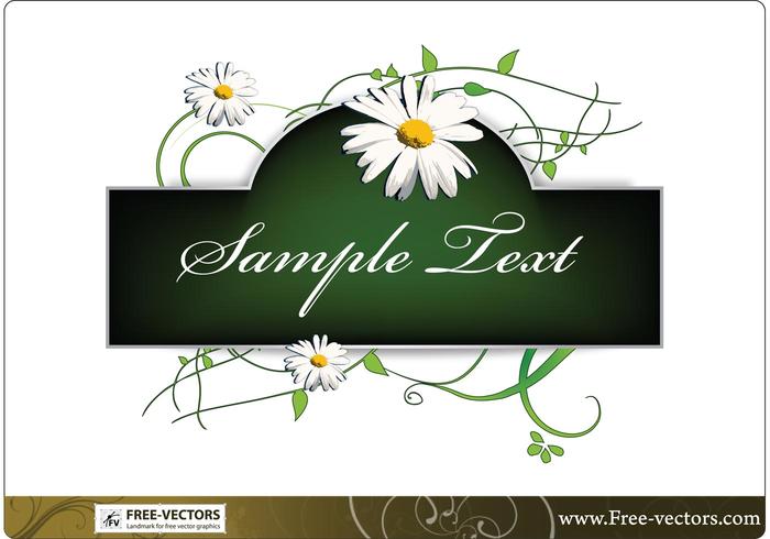 Flowers Banner Vector Graphics Flowers Banner Vector Graphics