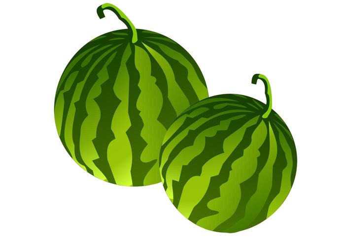 Free Vector Fruit Free Vector Fruit