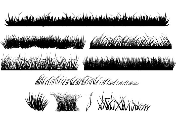 Vector Grass Vector Grass
