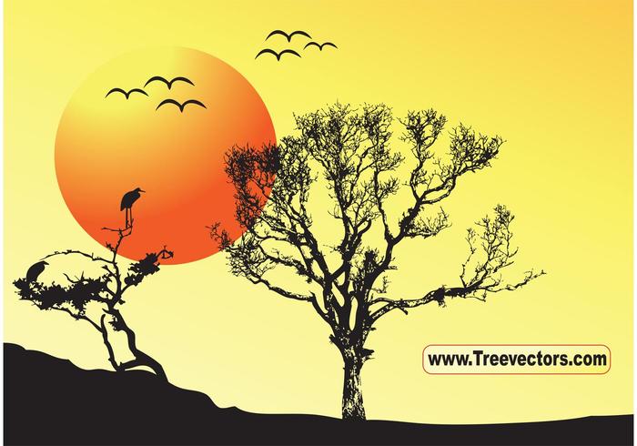 Sunset Vector Tree Background Sunset Vector Tree Background
