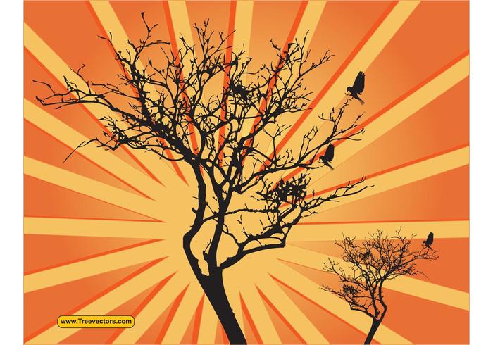 Vector Sunburst Background with Tree Vector Sunburst Background with Tree