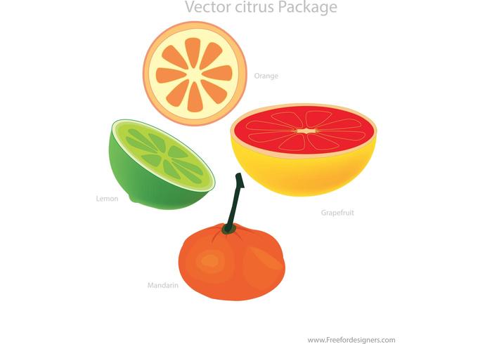 Vector Citrus Package Vector Citrus Package