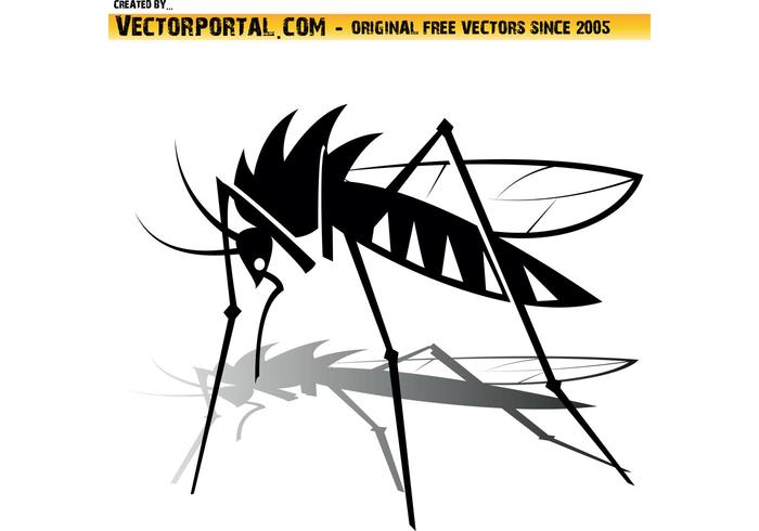 Free Mosquito Vector Graphics Free Mosquito Vector Graphics