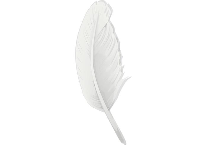 Feather Feather