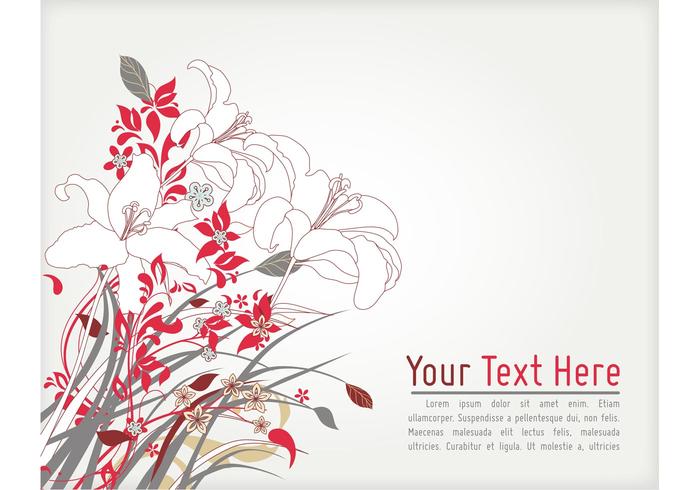 Lily Background Lily Background