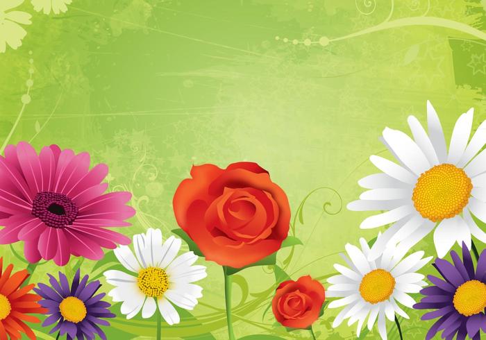 Daisies and Roses Flower Background Daisies and Roses Flower Background