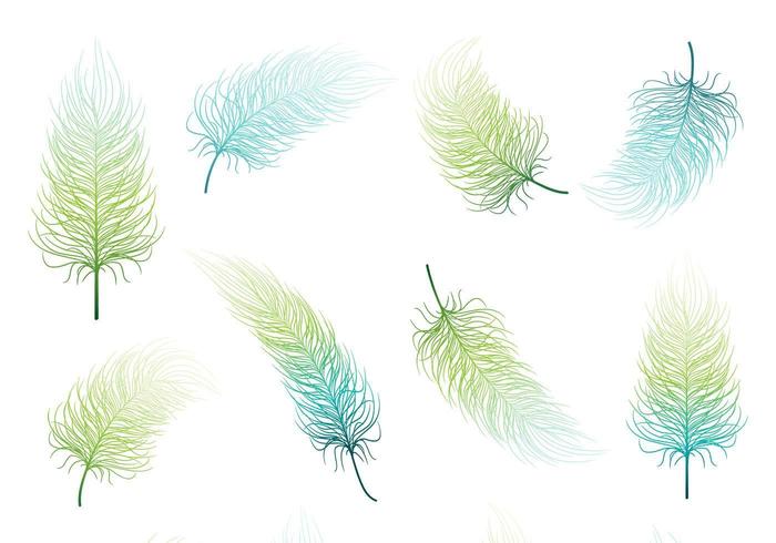 Blue Green Feather Vector Set