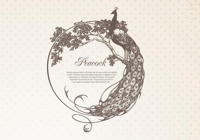 Hand Drawn Peacock Frame Banner Vector