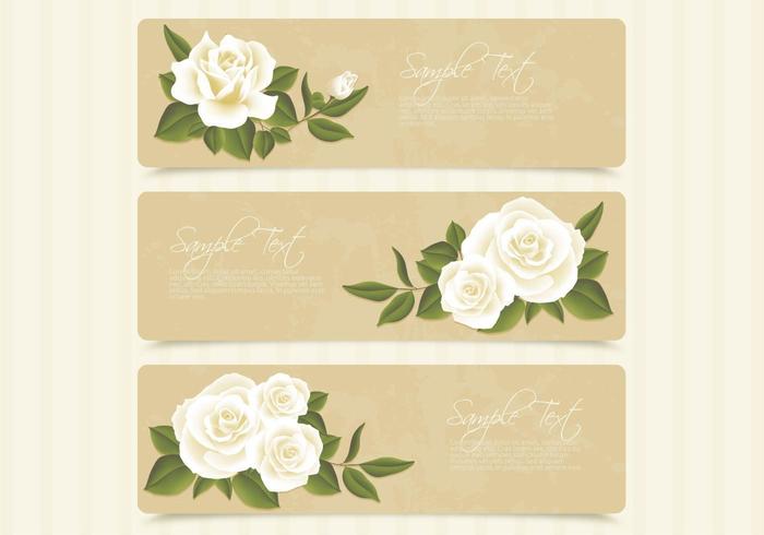 Retro White Roses Banner Vector Set