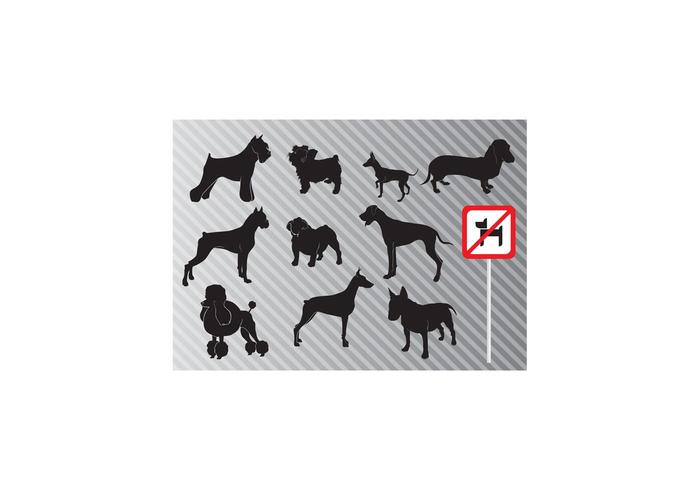 Dogs Dogs