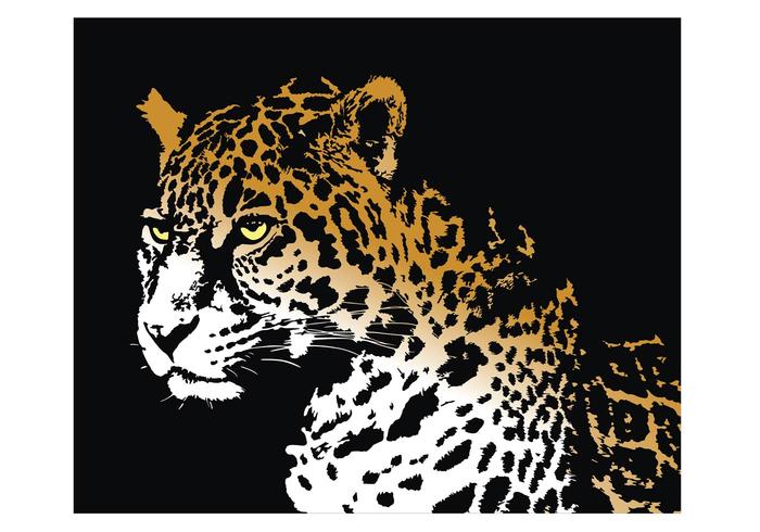 Jaguar Jaguar