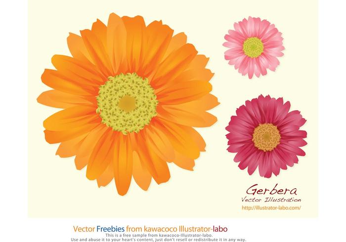 Summer Flowers Summer Flowers