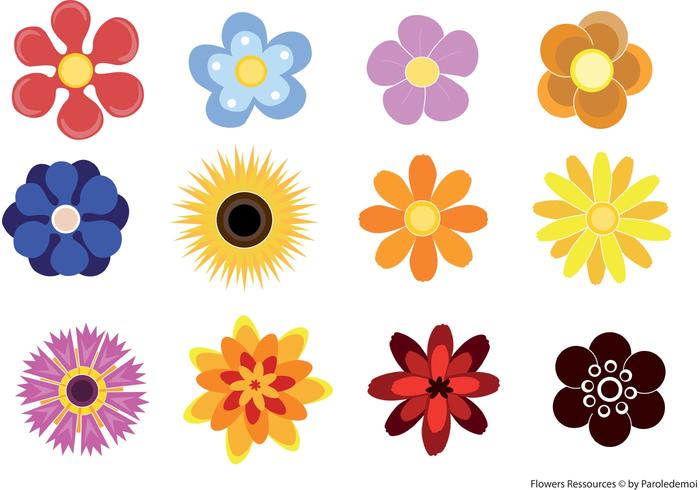 Cute Flowers Cute Flowers