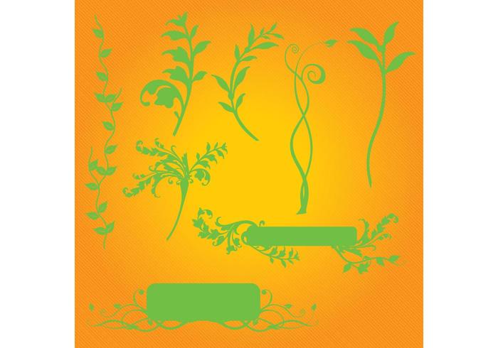 Plant Graphics Plant Graphics