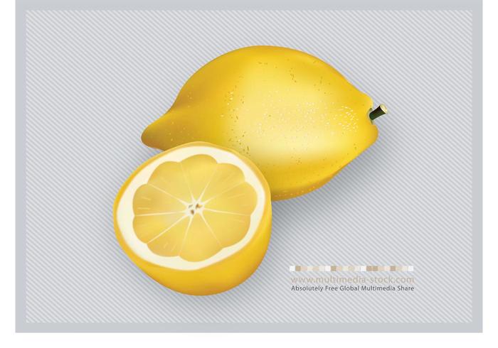 3D Lemons Fruit Vector 3D Lemons Fruit Vector