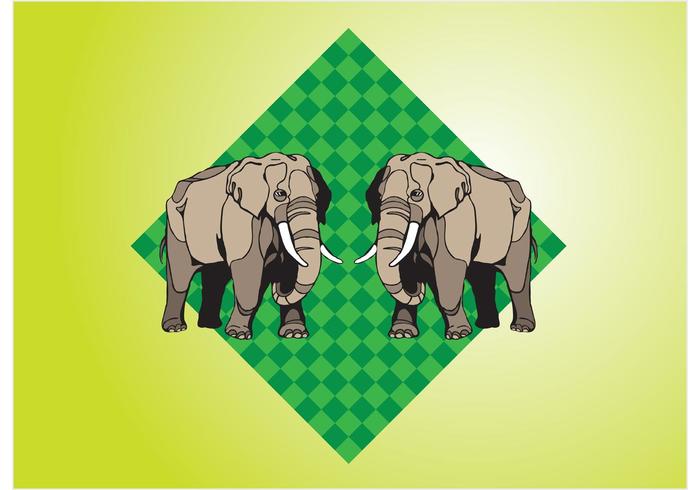 Elephants Elephants