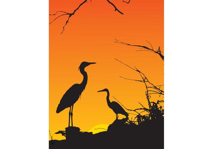 Herons Herons