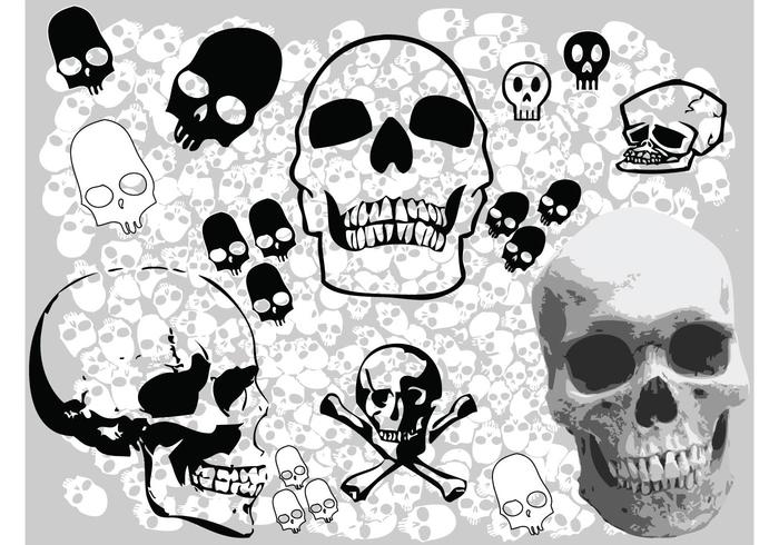 Skulls Vectors Skulls Vectors