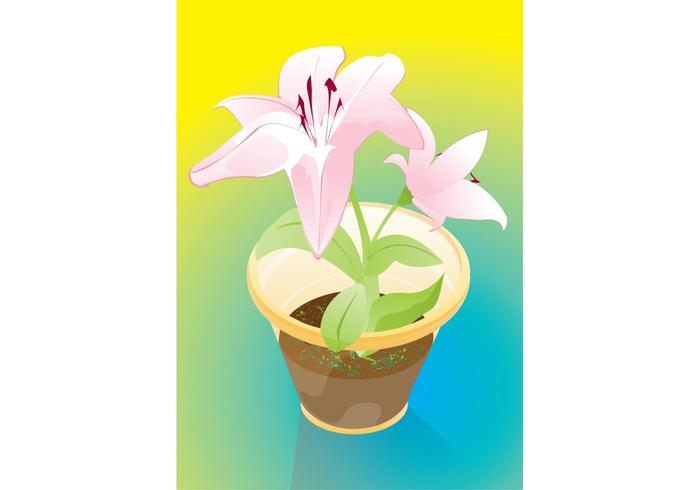 Flowers Gift Flowers Gift