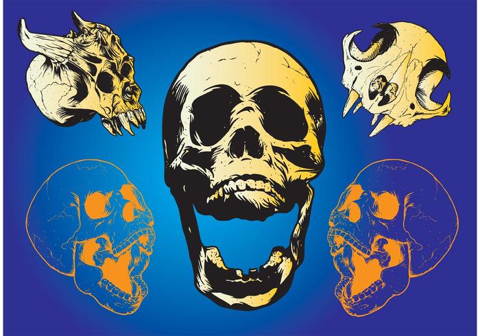 Scary Skulls Scary Skulls