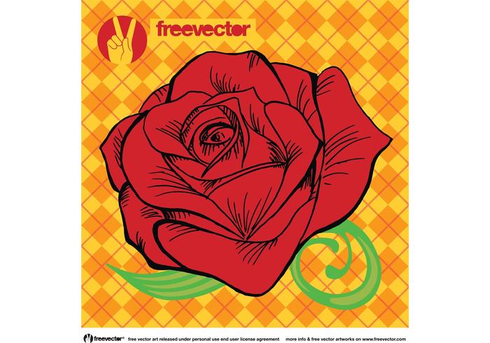 Rose Vector Rose Vector