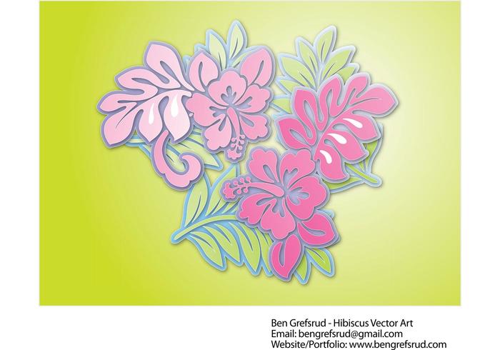 Hibiscus Flowers Vector Hibiscus Flowers Vector