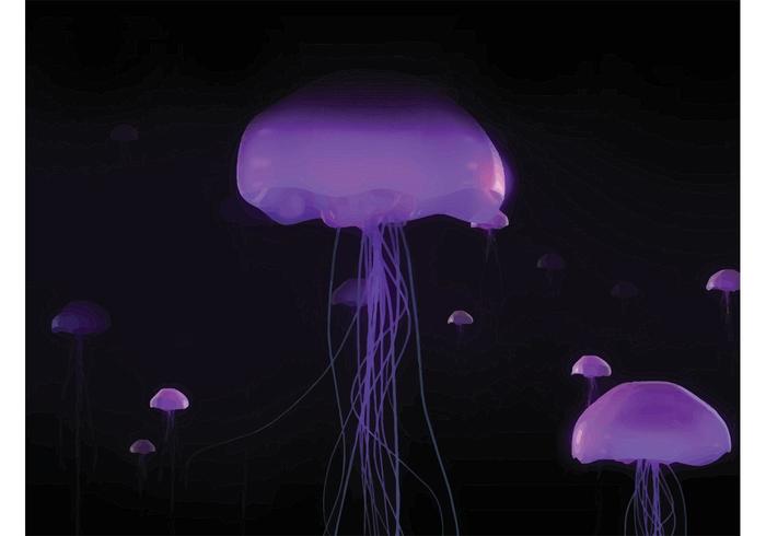 Neon Jellyfish Background Neon Jellyfish Background