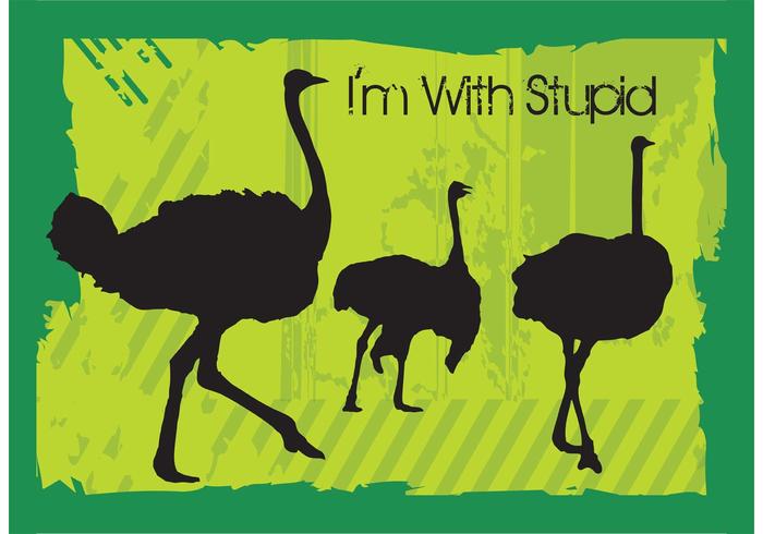 Ostrich Vectors Ostrich Vectors