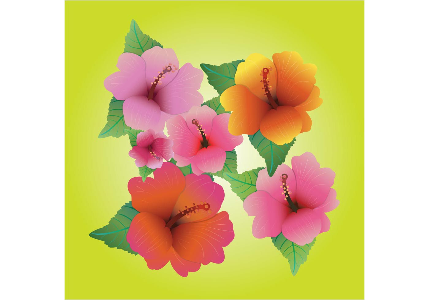 Hibiscus Vectors - Download Free Vector Art, Stock Graphics & Images