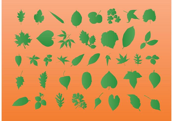 Leaf Vector Silhouettes Leaf Vector Silhouettes